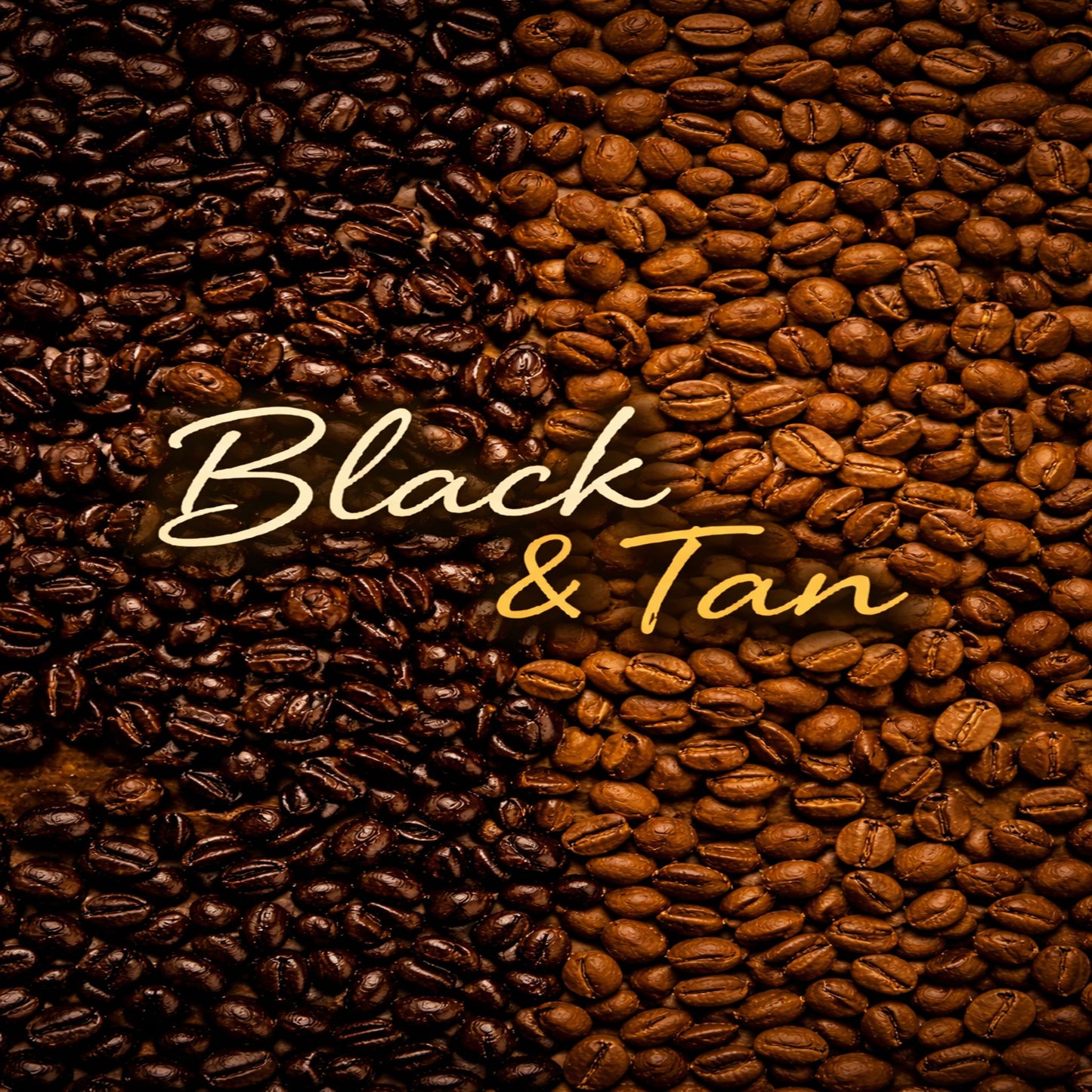 Black And Tan