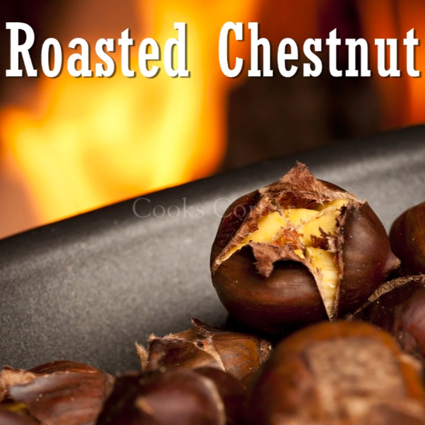 Roasted Chestnut